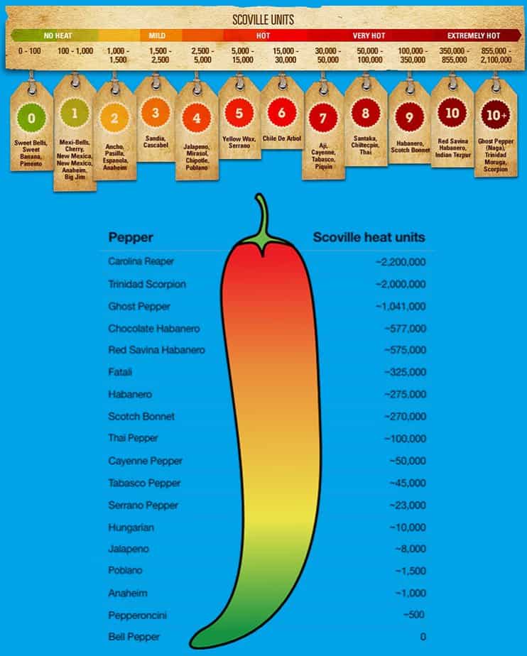 Scoville Scale Peppers All Facts On Scoville Heat Unit