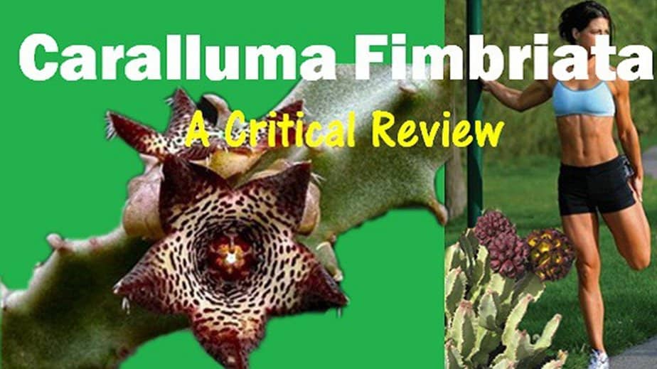 Caralluma Fimbriata Extract Reviews 