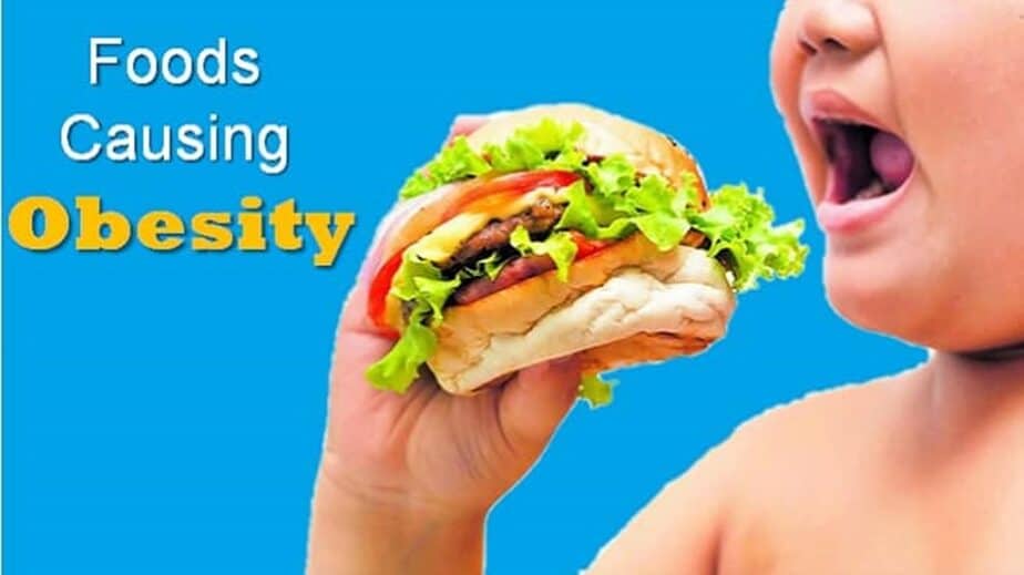 Foods Causing Obesity