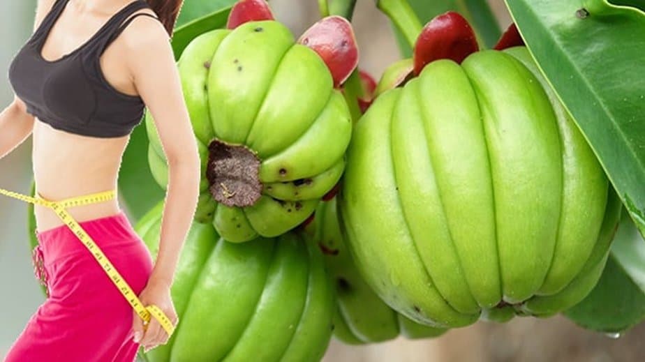 Garcinia Cambogia Review: Does HCA Extract Supplement Work?