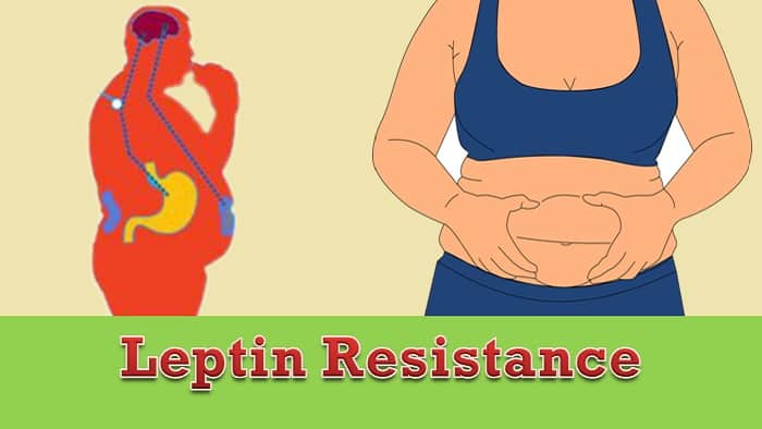 Leptin Resistance Facts