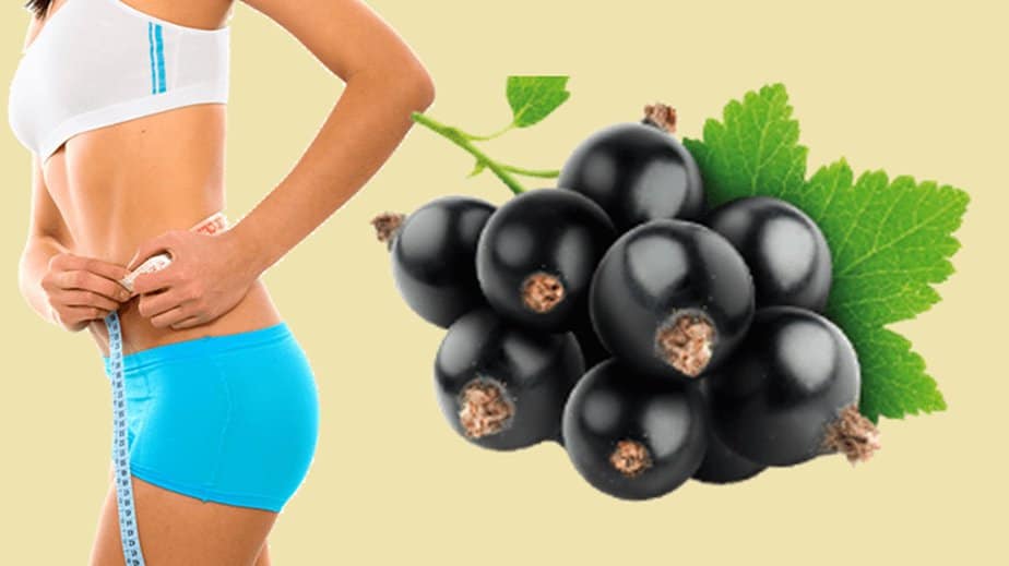 Acai Berry Diet: Health Benefits And Weight Loss Effects