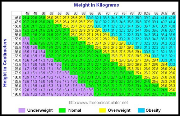 Body Mass Index Chart Metric