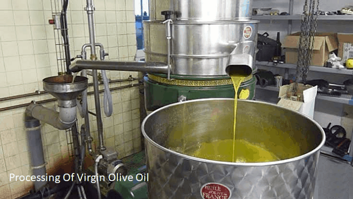 Processing Of Extra Virgin Olive Oil