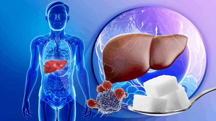 Sugar's Effect On Liver