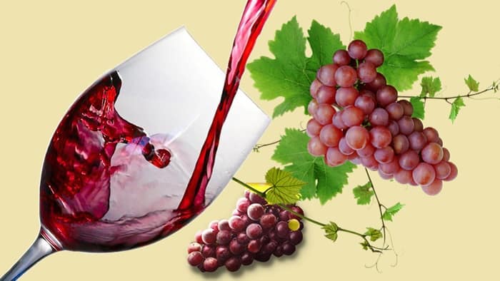 Red Wine Benefits For Health – Fountain Of Antioxidants