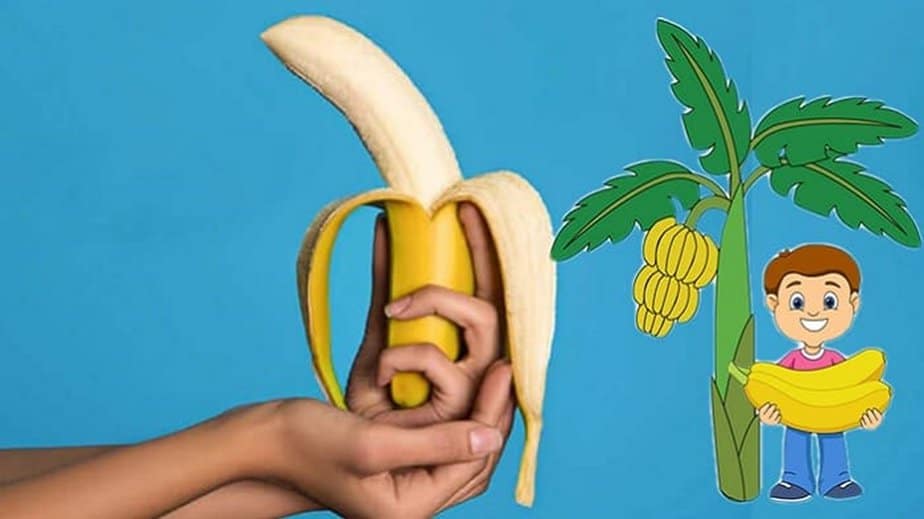 Amazing Benefits Of Bananas | How Many Bananas A Day?