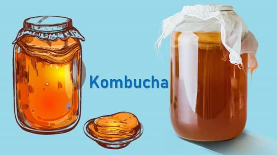 What Is Kombucha Tea? | Making Process And Benefits