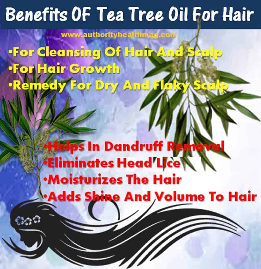 Benefits of Tea Tree Oil for Hair