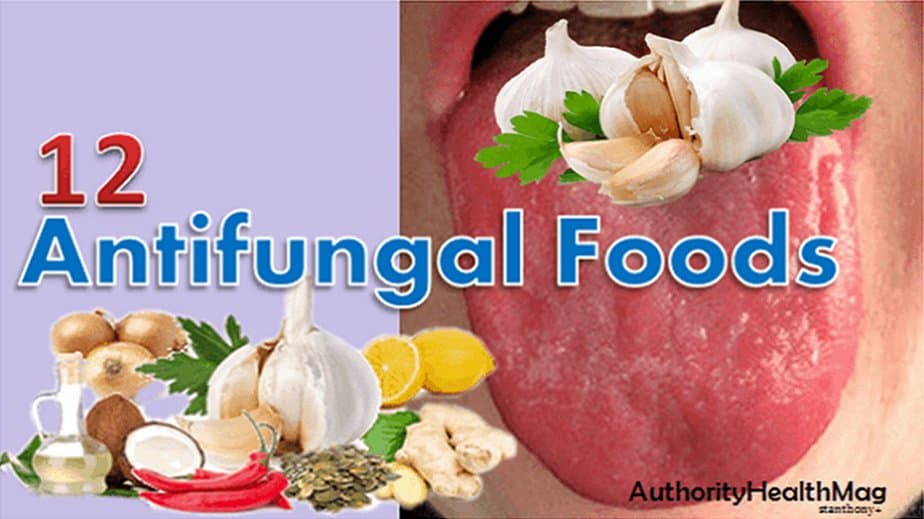 Best Antifungal Foods