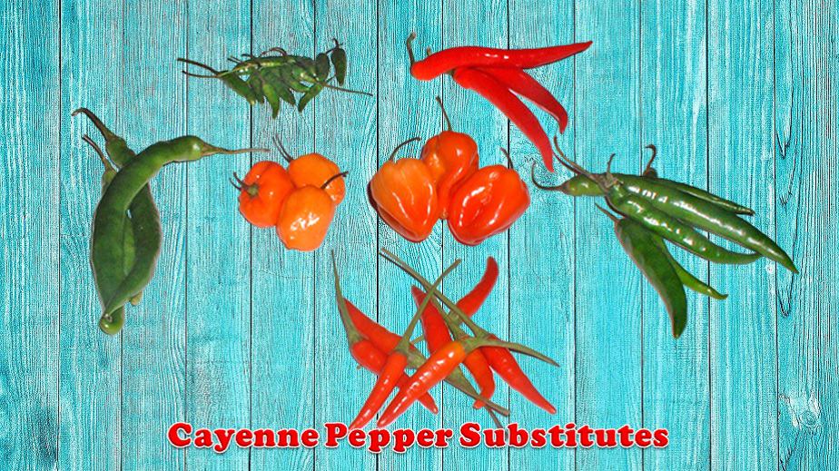 Best Replacement For Cayenne Pepepr