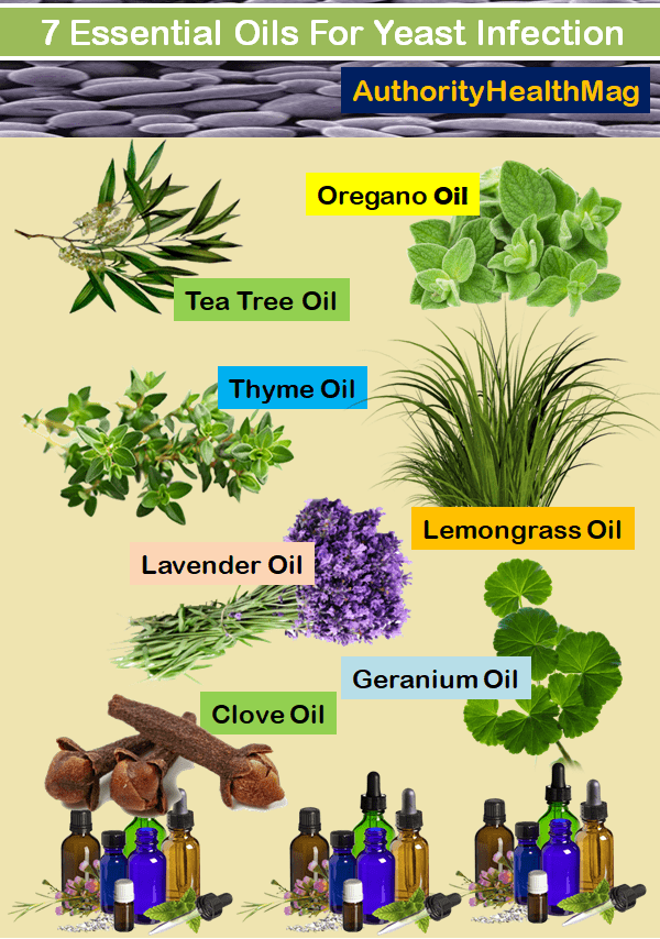 Essential Oils For Candida