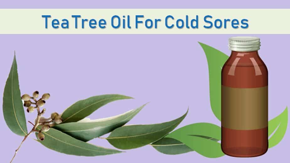 Tea Tree Oil For Cold Sores