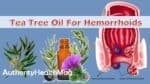 Tea Tree Oil For Hemorrhoids: Does This Remedy Help?