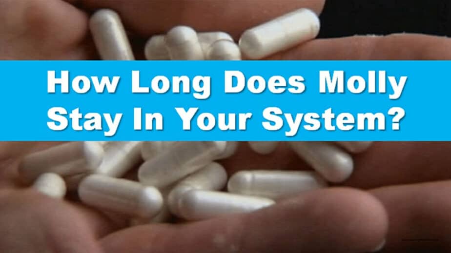 How Long Does Molly Stay In Your System