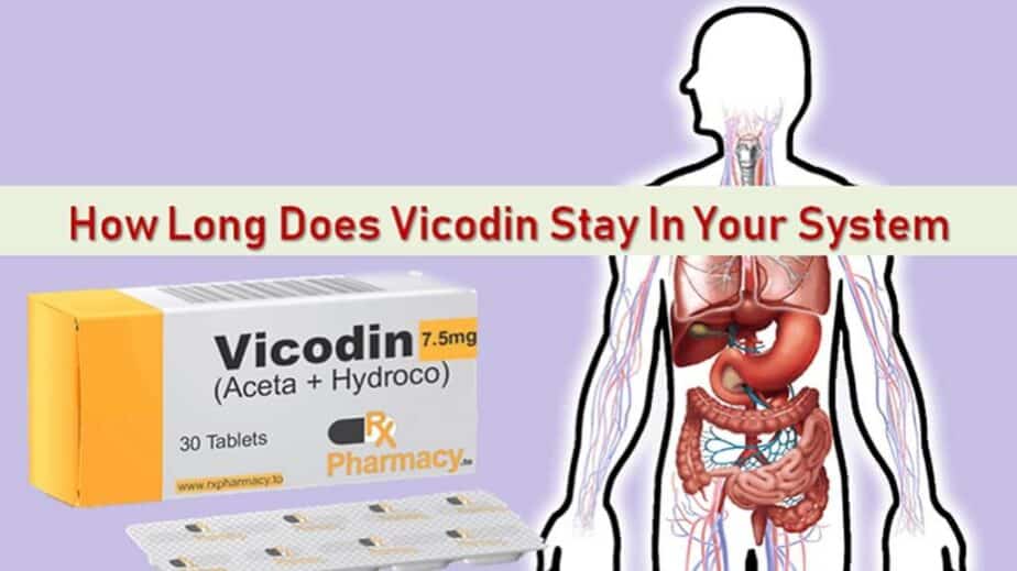 How Long Does Vicodin Stay In Your System