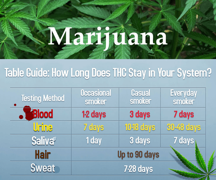 Marijuana Drugs Test Chart 