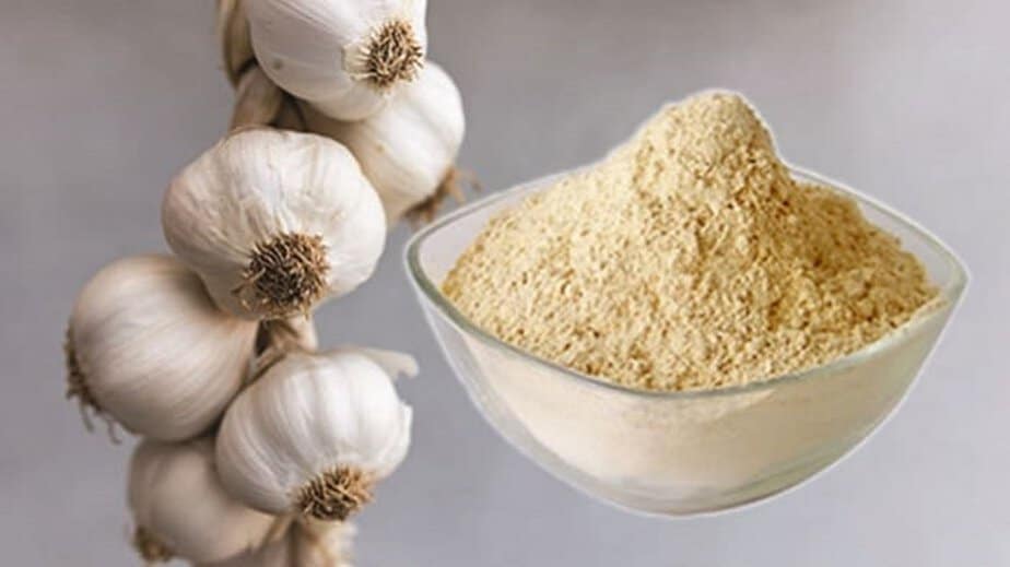 Garlic Powder Substitutes