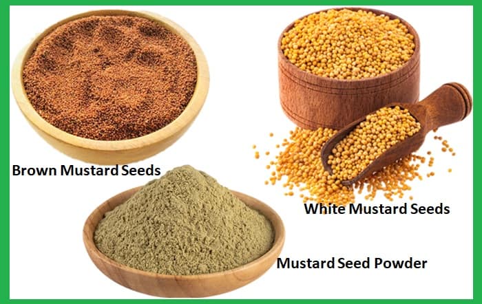 Black Mustard Seeds Substitutes 