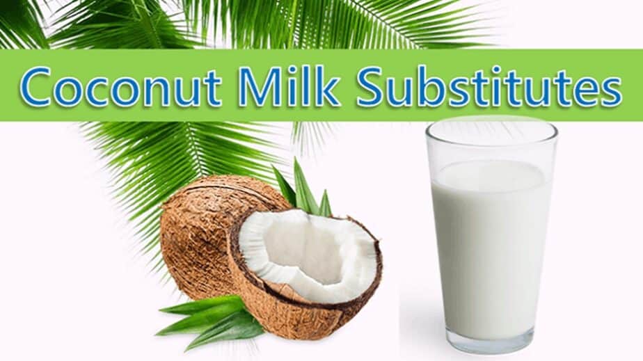 Substitutes For Coconut Milk