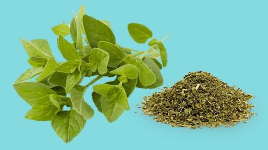 Oregano Substitutes