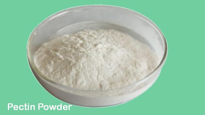 substitute for gelatin powder substitute for gelatin powder