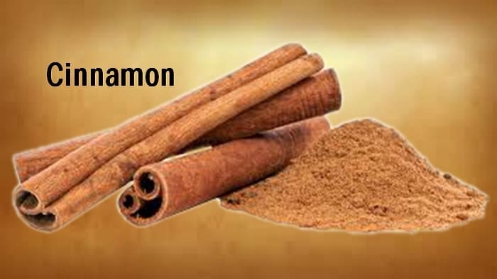 Cinnamon Spice 