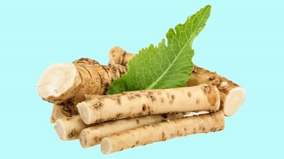 Horseradish Substitutes