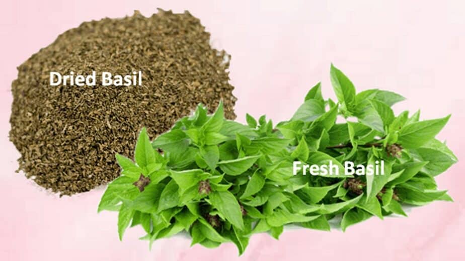 Basil Substitutes