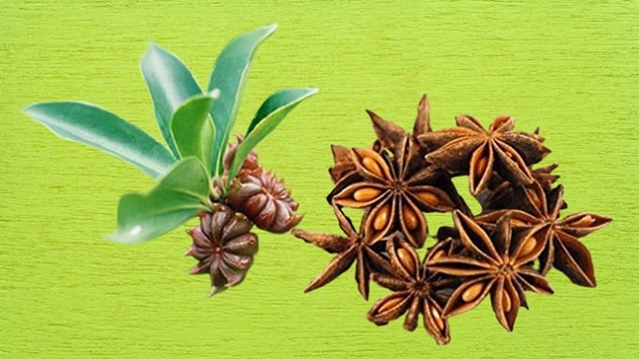 Star Anise Substitutes