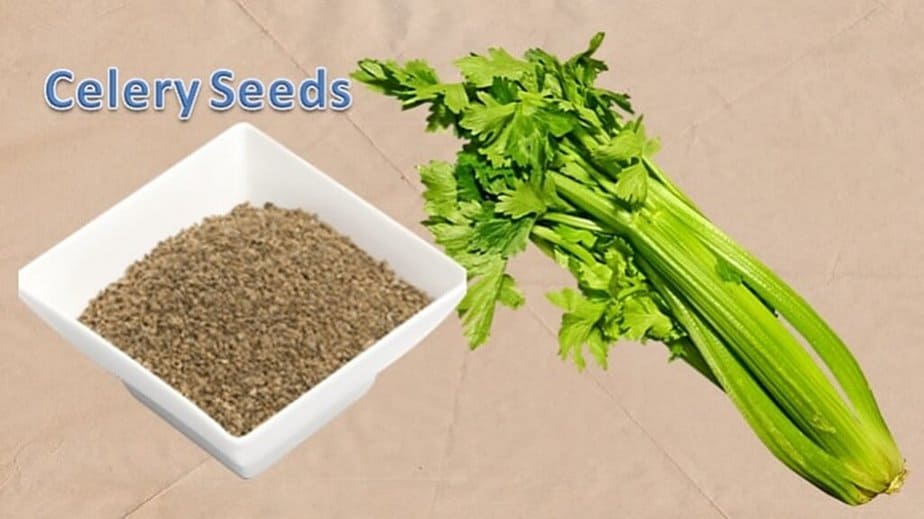Substitute For Celery Seed