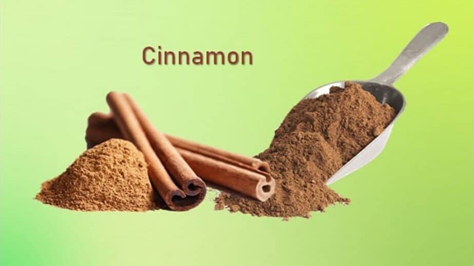 Best Substitutes For Cinnamon