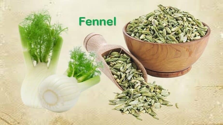 Substitutes For Fennel Seed
