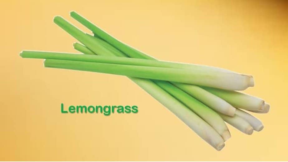 Substitutes For Lemongrass