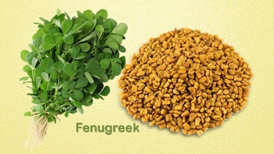 Substitute For Fenugreek