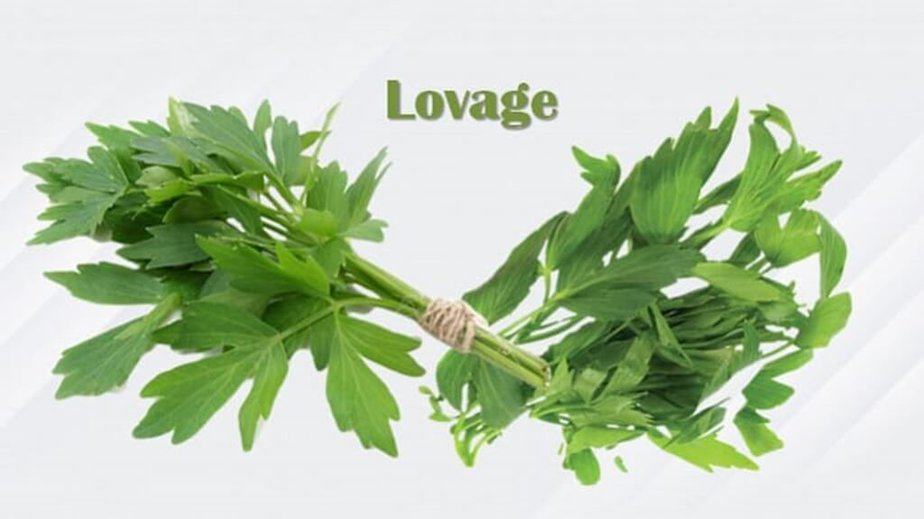 Lovage Substitutes