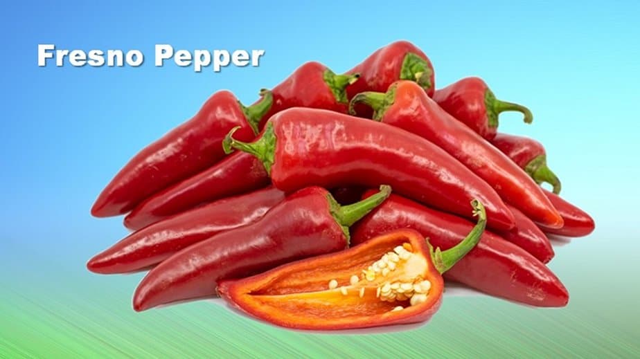 Fresno Pepper Substitutes