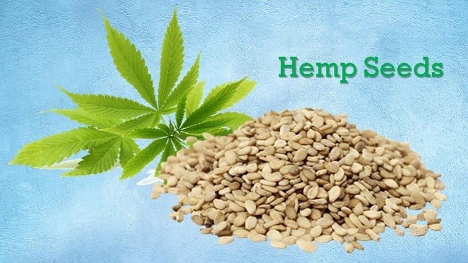 Hemp Seed Substitutes