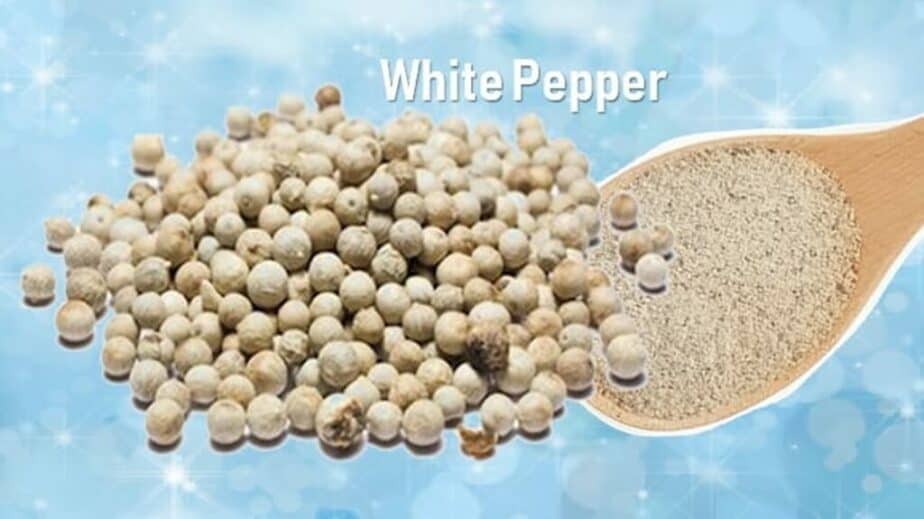 White Pepper Substitutes
