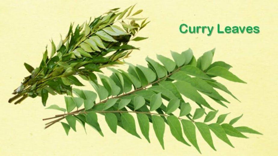 Curry Leaves Substitute