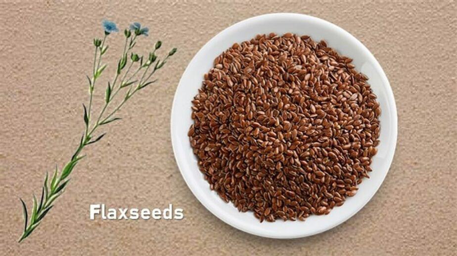 Flaxseed Substitute