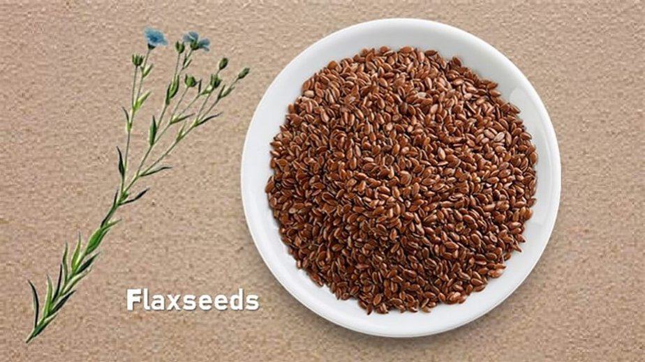 Flaxseed Substitute