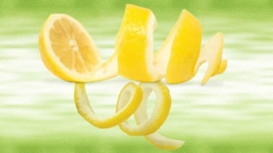 Lemon Peel Substitutes