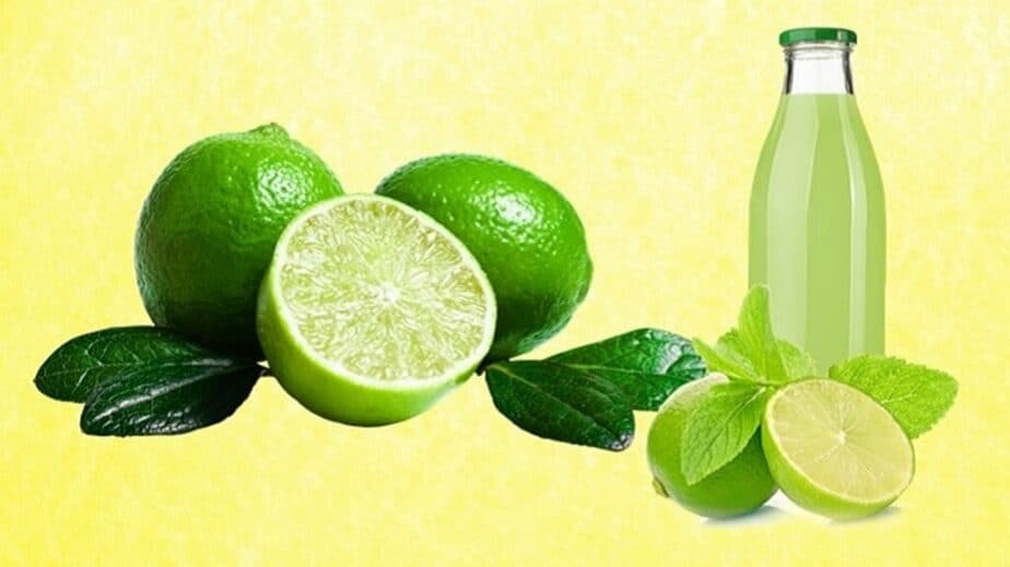 Lime Juice Substitutes