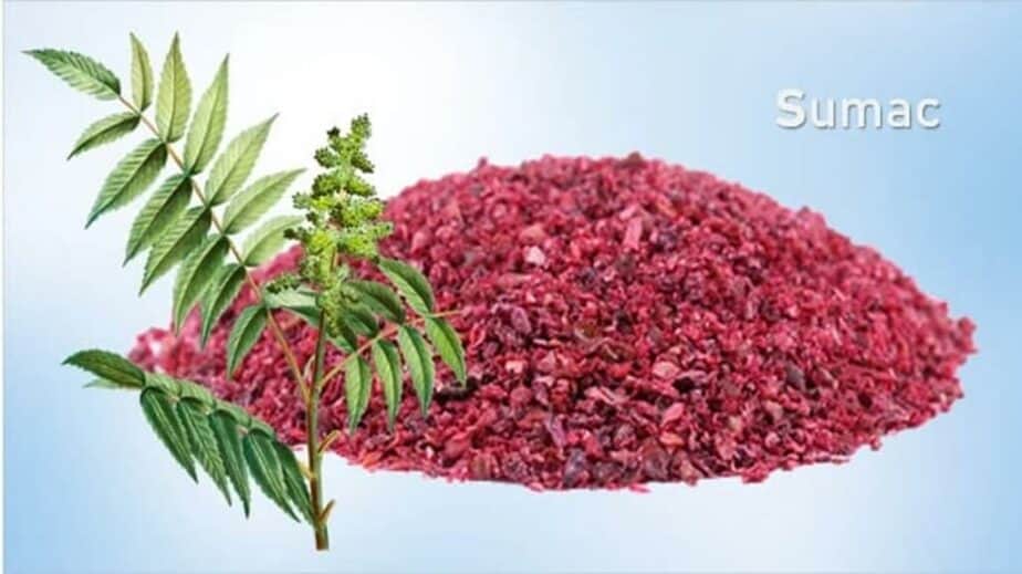 Substitute For Sumac