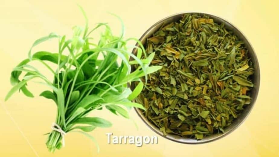 Substitute For Tarragon