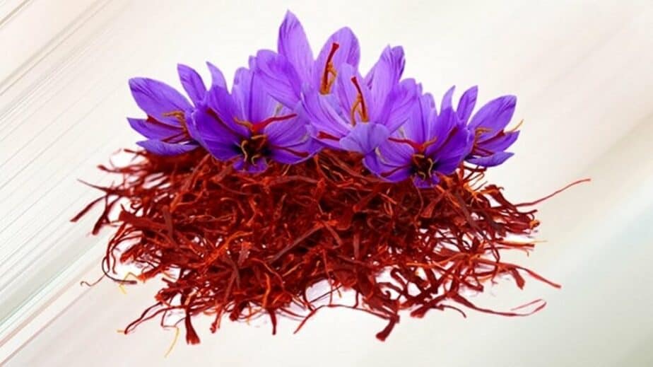 Substitutes For Saffron