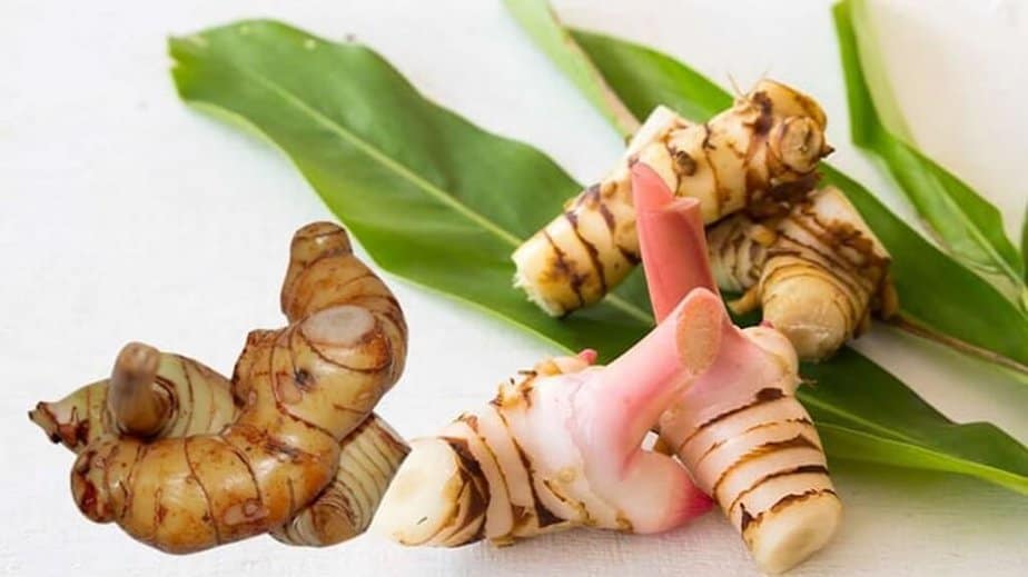 Galangal Substitutes