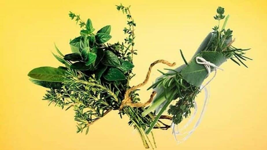 Bouquet Garni Herbs