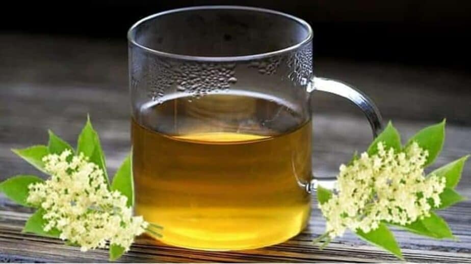 Elderflower Tea Benefits